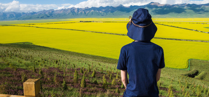 双N的mbti类型：探索思维的契机