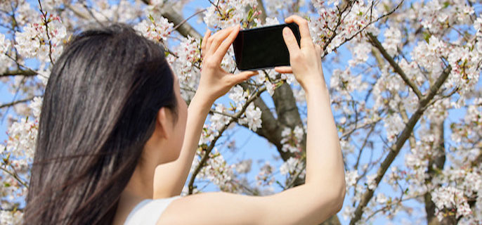 MBTI人格测试解析：揭开这些数字的真正含义